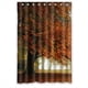 thumbnail image 1 of Cortina de ducha ABPHQTO Diseño Transparente Árbol de arce Impermeable 120x180 cm, 1 of 2