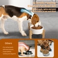 thumbnail image 4 of Juego de cuencos elevados de cerámica para perros PTOBER, 850 ml, para perros pequeños y medianos, 4 of 6