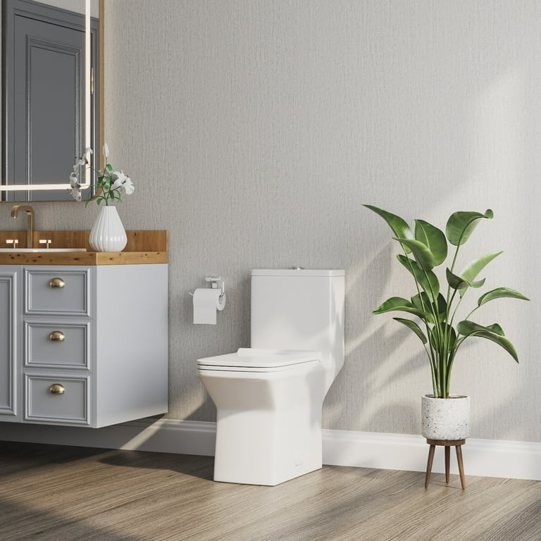 Ace One-Piece 0.8/1.28 GPF Dual-Flush Rectangular Floor