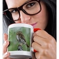 thumbnail image 2 of 3drose, Ferruginous Pygmy-owl, Rio Grande Valley, Texas - Na02 Rnu0583 - Rolf Nussbaumer, 15oz Two-tone Red Mug, 2 of 6