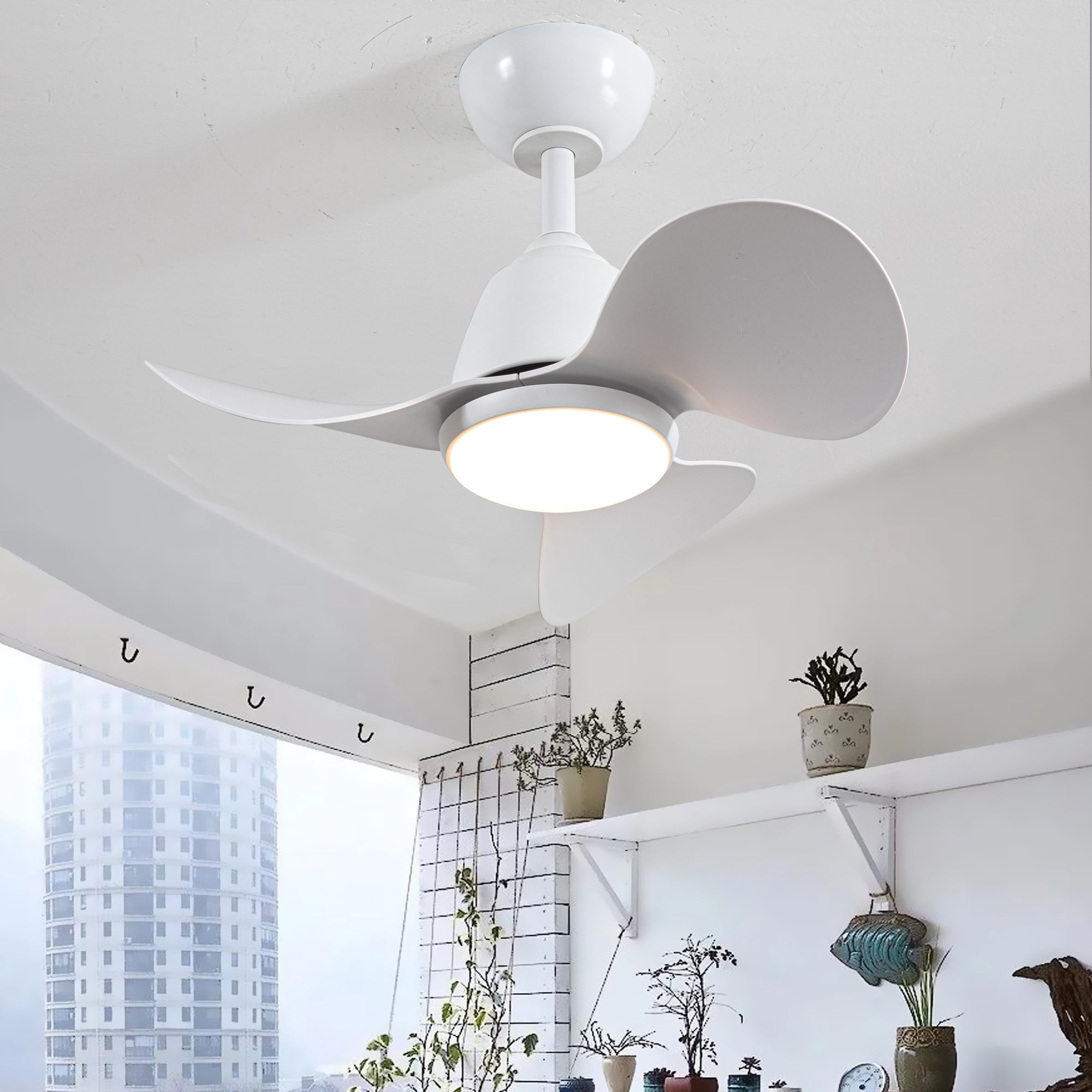 Cian 24 in. 1-Light Indoor White Finish Ceiling Fan with Light Kit