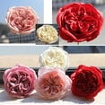 thumbnail image 4 of Fake Foam Roses For Wall Decorations Large And DIY Crafting Projects Artificial Austin Rose Heads Wedding Receptions, Faux Bouquets, Table Scatter, 3.35 Inch 16 Pack, 4 of 9