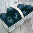 thumbnail image 2 of Harris Seeds - Pepper Seeds - Purple Beauty Variety - Non-GMO - Sweet, Blocky Fruit.- 50 Seeds, 2 of 4