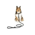 thumbnail image 2 of One Paw, Hiker Reflective Rope Dog Leash, Multiple Colors, 5 ft, 2 of 2