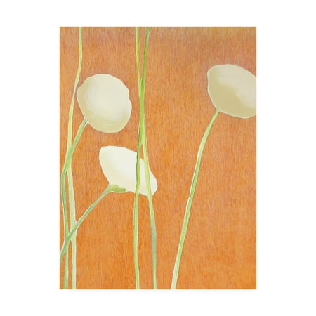 Trademark Fine Art 'Cream Flowers on Orange' Canvas Art by India & (Best Flowers In India)