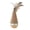 C, variant on Interactive Sisal Cat Scratcher Board with Tumbler Design, Vertical Cat Scratching Toy with Teaser Attachments, Protects Furniture, Relieves Stress, for Indoor Cats of All Ages
