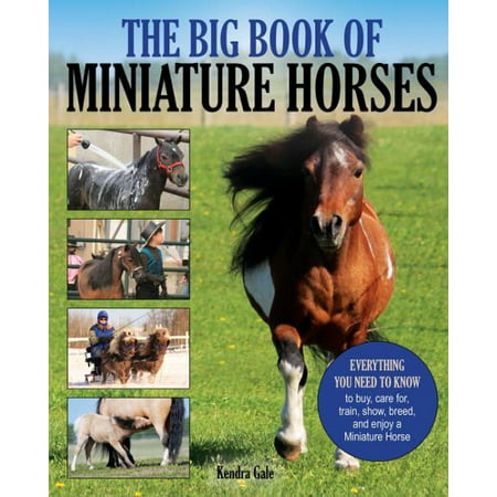 The Big Book Of Miniature Horses Walmart Com