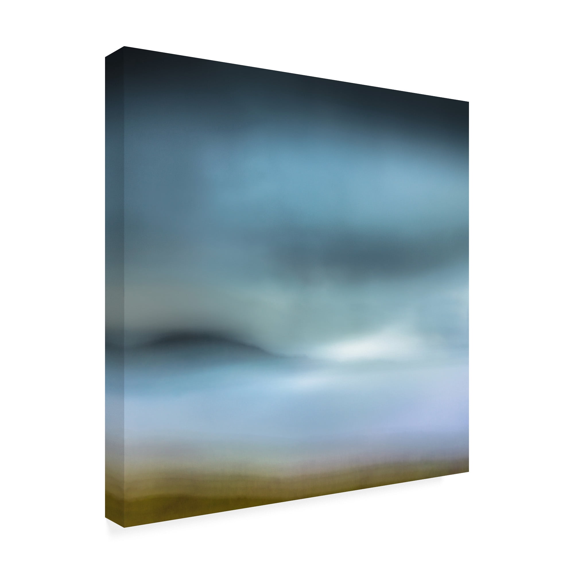 Trademark Fine Art 'Watercolour Memories' Canvas Art by Lynne Dougla