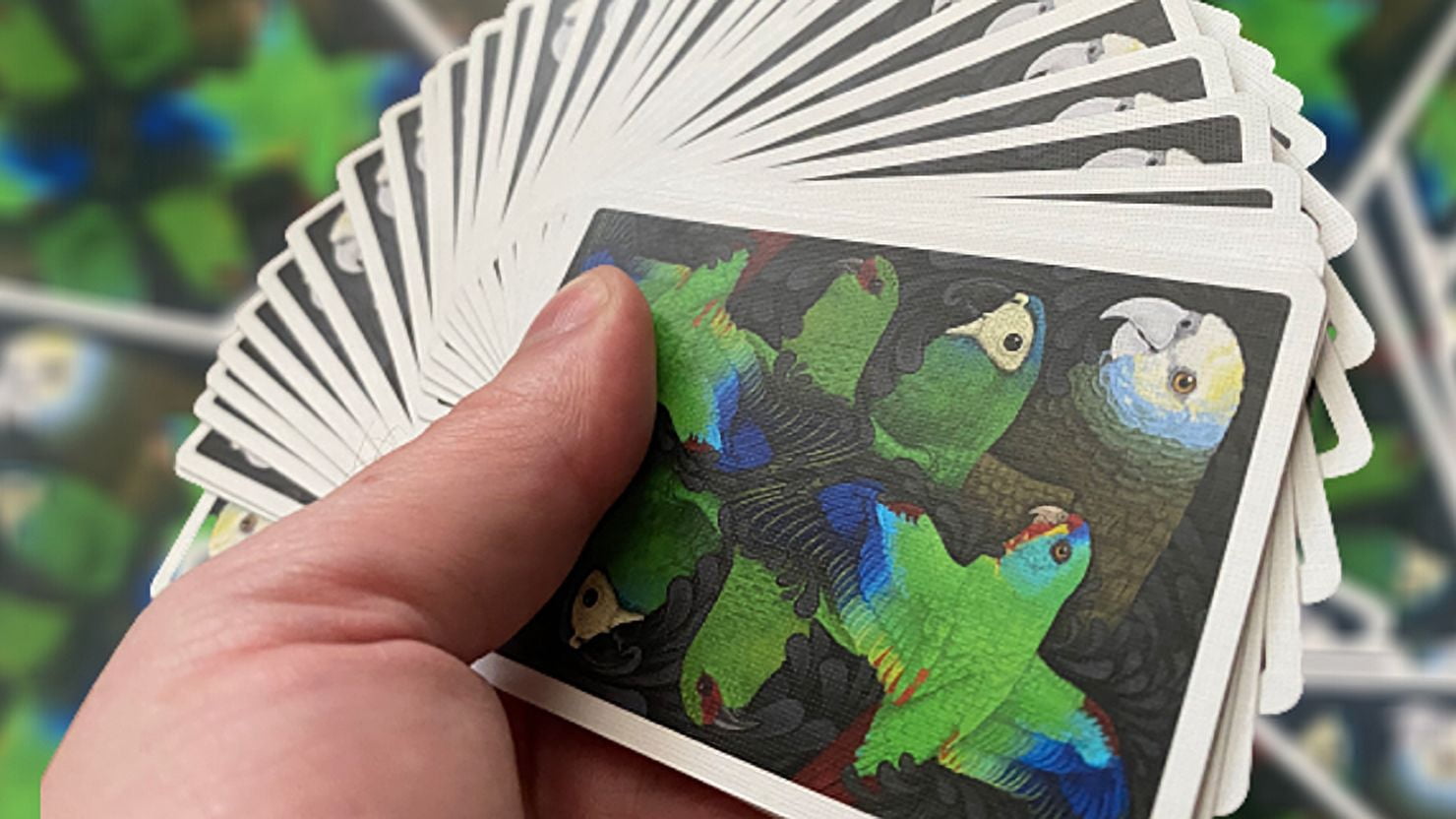 Parrot Prototype Playing Cards by Renee LeCompte