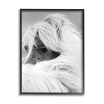Horse Gazing Windblown Mane Animals & Insects Photograph Black Framed Art Print Wall Art