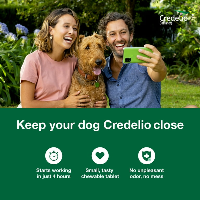 Credelio Chewable Tablet for Dogs 50.1 100 lbs Blue Box Walmart