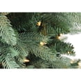 thumbnail image 2 of Northlight Real Touch™️Pre-Lit Washington Frasier Fir Artificial Christmas Tree - 4.5' - Clear, 2 of 6