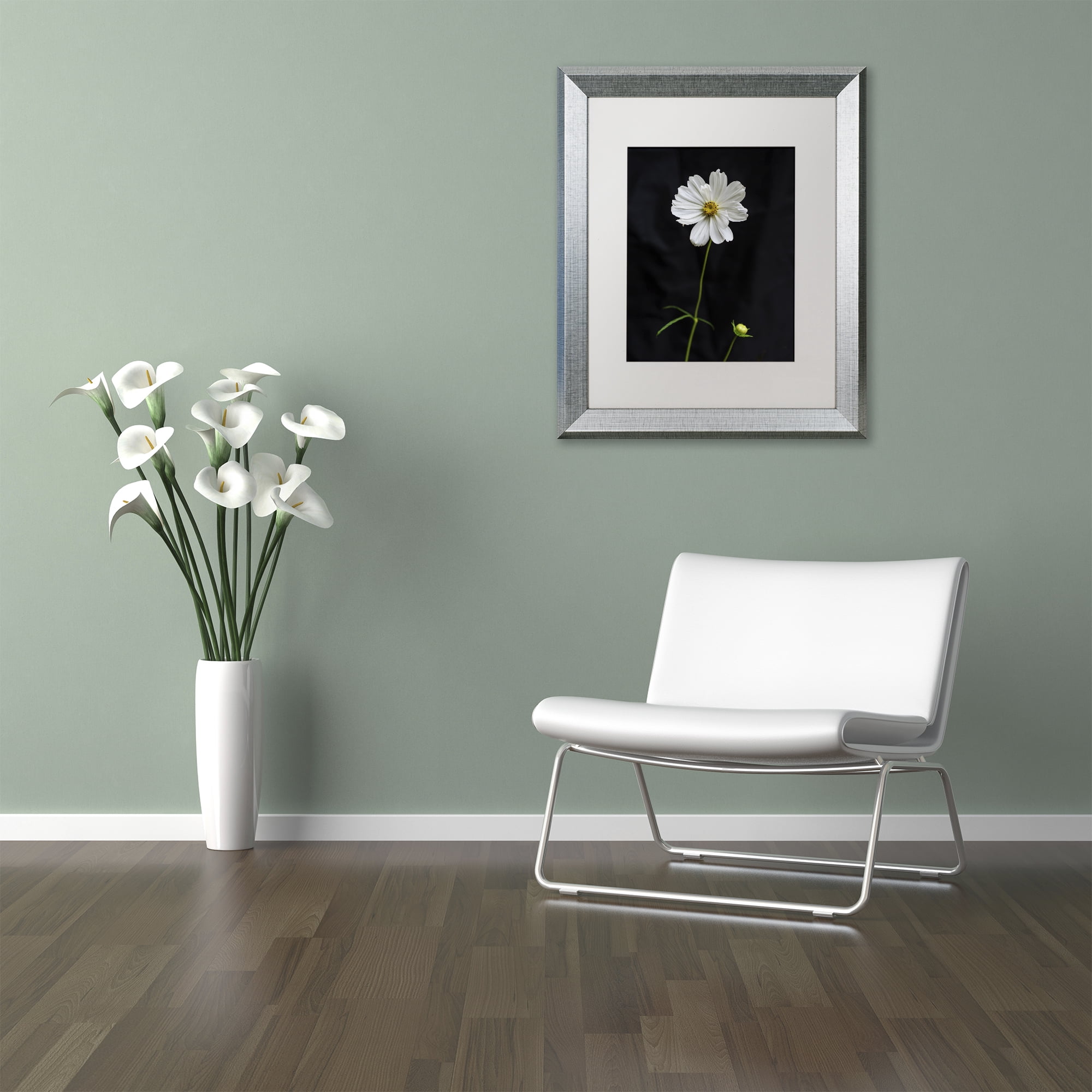 Trademark Fine Art 11 x 14 Matted Framed Art ' White Cosmos on Black ' by Kurt Shaffer