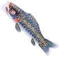 thumbnail image 1 of Japanese Carp Windsock Hanging Fish Windsock Flag Outdoor Home Festival Decoration, 1 of 9