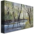 thumbnail image 2 of Trademark Art "Pine River Reflections" Canvas Art by Ryan Radke, 2 of 5