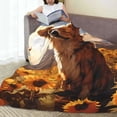 thumbnail image 6 of Salouo Vintage Cute Corgi Sunflower Print Bed Blankets,Flannel Blanket Comfortable Air Conditioning Blanket Lightweight Blanket for Sofa Bed Travel & Couch -80"x60", 6 of 8