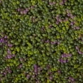 thumbnail image 5 of Nearly Natural 6" x 6" Purple and Green Clover Mat Artificial Plant, 12 Piece, 5 of 5