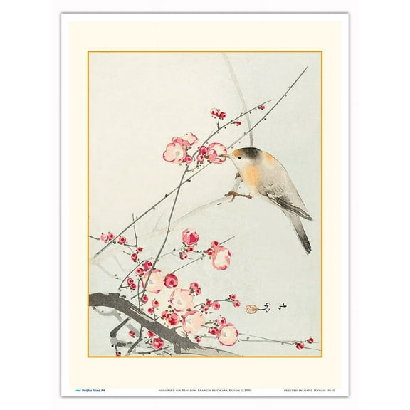 Songbird on Blossom Branch - Vintage Japanese Woodblock Print by Ohara Koson c.1900 - Master Art Print (Unframed) 9in x 12in