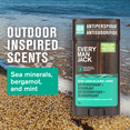 thumbnail image 2 of Every Man Jack Antiperspirant Deodorant Sea Salt + Citrus 73 Grams, 2 of 8
