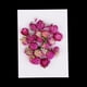thumbnail image 5 of 20 Piezas de Flores Prensadas Secas Globosa para álbumes de Recortes de Bricolaje, 5 of 9