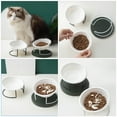 thumbnail image 2 of Miangastore 1 Set Pets Disposable Feeding Bowls Wet Dry Pet Food Bowl Water Feeding Dish with Rack, 2 of 7