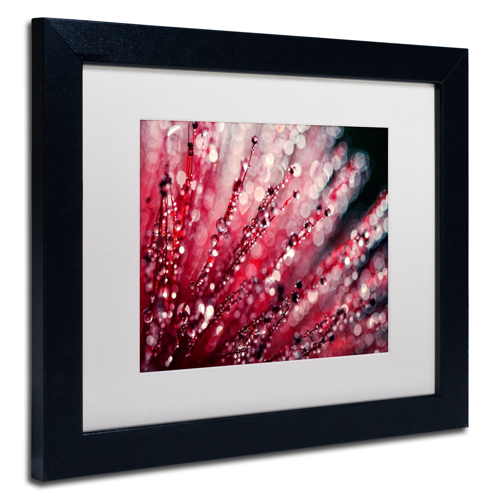 Trademark Fine Art "Sonata in Red" Canvas Art by Beata Czyzowska Young, White Matte, Black Frame