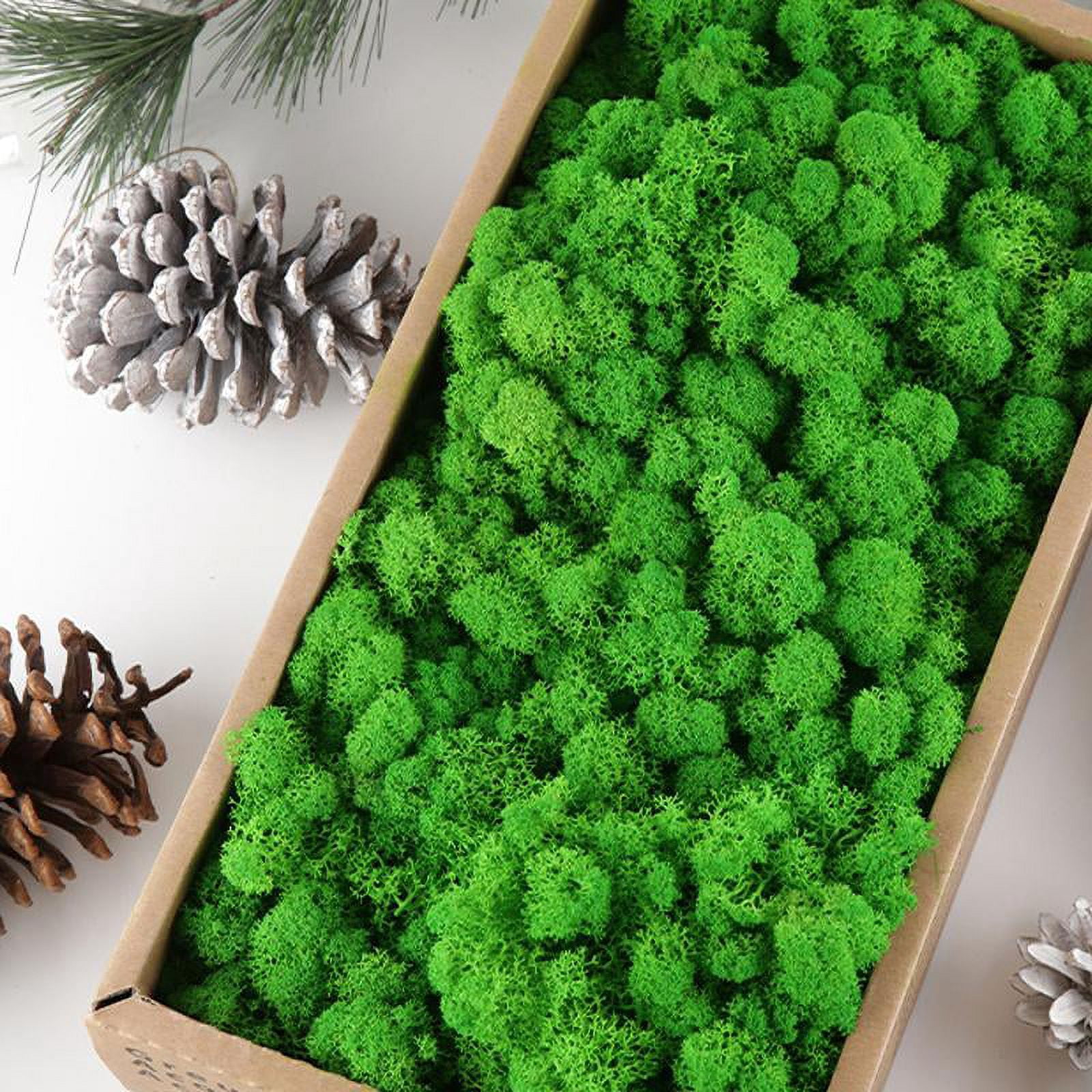 Elowen Natural Preserved Moss Decorative Moss Durable Natural Preserved Moss Model Making for Home Decor
