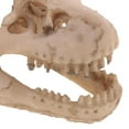 thumbnail image 3 of Resina Dinosaurio Cráneo Acuario Decoración Reptil Pecera Ornamento Decoración Del Hogar, 3 of 5