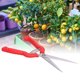 thumbnail image 5 of Trimming Scissors, Pruning Shears Bonsai Tools For Home Garden Yard, 5 of 8
