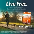 thumbnail image 4 of Safe-Guard Panacur Wormer (fenbendazole) K9 Dogs 10 lbs. 1gm, 4 of 6