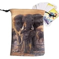 thumbnail image 1 of HUGFEGWE 2 Pcs Velvet Tarot Rune Bag - Novel Animal Pattern Tarot Card & Dice Storage Bag - Tarot Bag, Dice Bag, Card Bag, Jewelry Pouch, Hand Gift Bag, 5.12x7.09 Inches CJB91-66166, 1 of 8