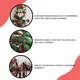thumbnail image 5 of 2M Christmas Garland Party Decor DIY Christmas Tree Ornaments Green Cane Ribbons Wreath Hanging Pendent Xmas Party Supplies, 5 of 5