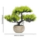 thumbnail image 4 of Adhesivo de pared,Vinilo decorativo de pared con enredaderas colgantes para dormitorio (DIY),Vinilo decorativo de hojas verdes para pared,ideal para la oficina.,Árbol bonsái, 4 of 8