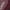Burgundy Red, variant on FitVille Diabetic Shoes for Women Wide Walking Shoes for Swollen Foot, 8 Wide
