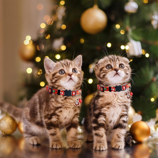 Collier de Noël pour Chats avec Clochettes - 1 Pack Collier de Noël Rouge Vert pour Chatons