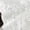 White, variant on PiGOGI Women's VNeck Knit Sweater Casual Solid Color Loose Base Layer Long Sleeve Pullover White XL