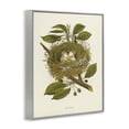 thumbnail image 3 of Stupell Industries Cottage Birdnest with Spotted Eggs Gray Framed Giclee Art, 24 x 30, by Tina Higgins Designs Inc., 3 of 8