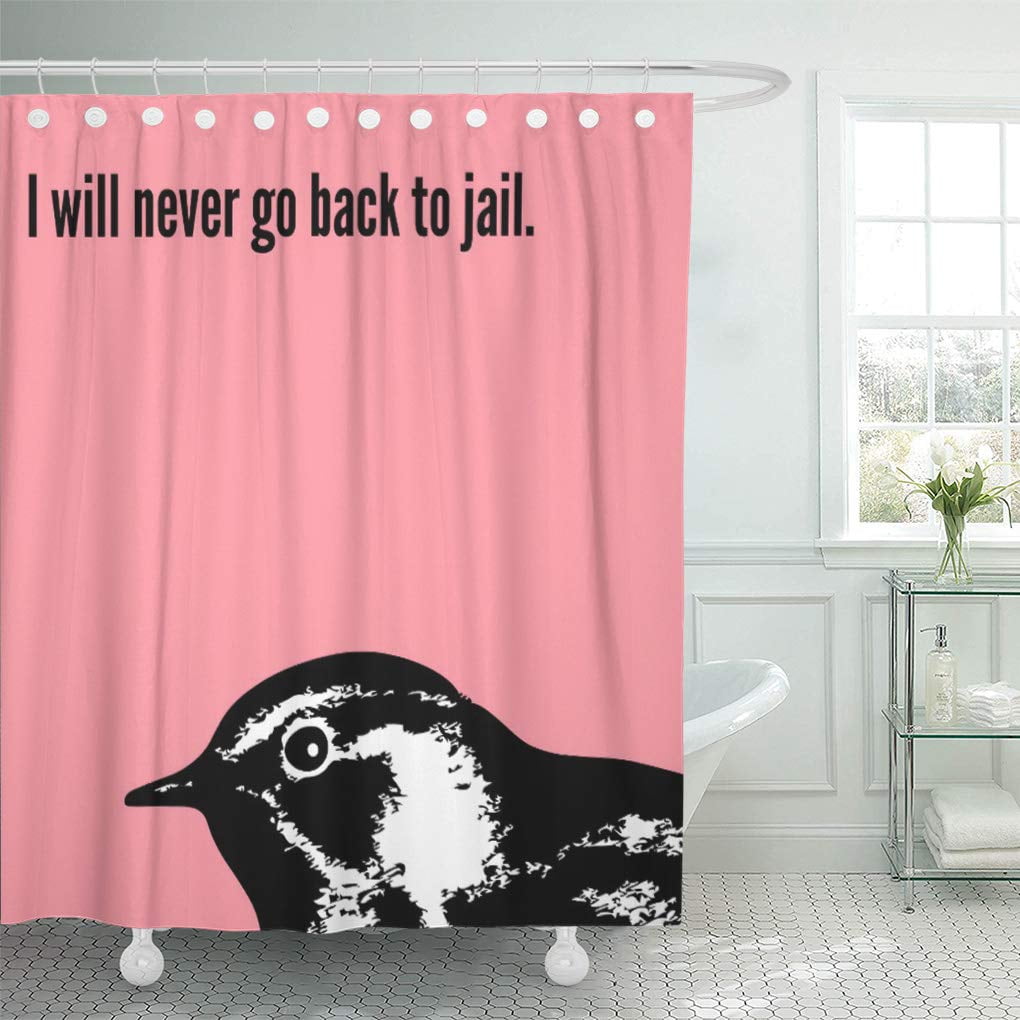 SUTTOM Thebloggess I Will Never Go Back to Jail Shower Curtain 60x72