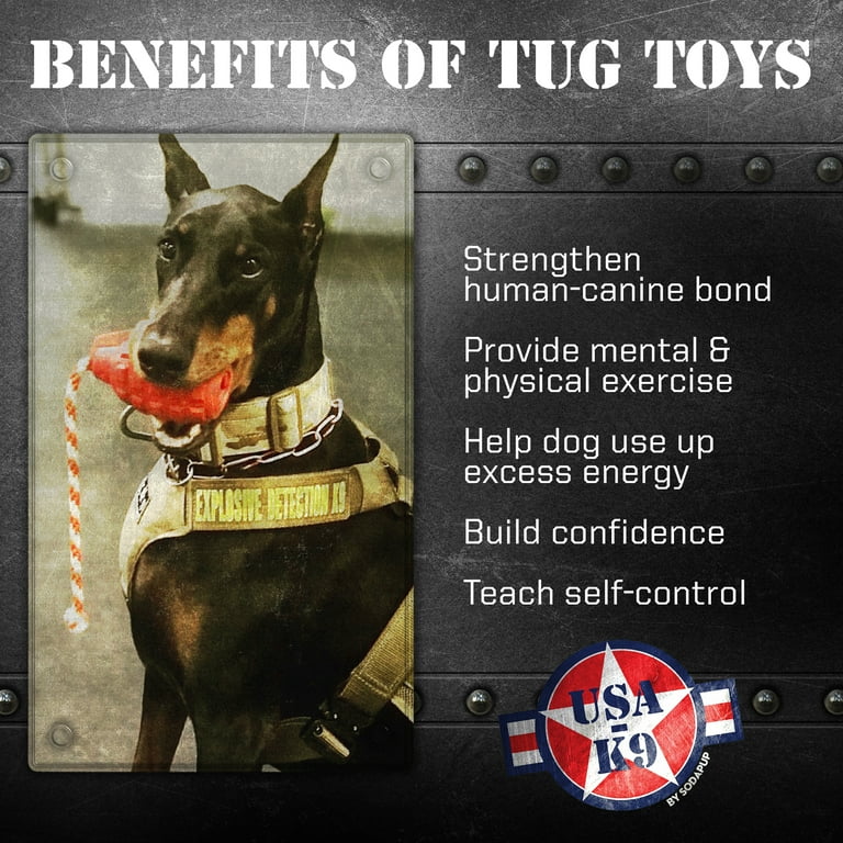 Usa on sale k9 toys