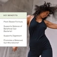 thumbnail image 6 of Amy Myers MD Candifense Candida Overgrowth Supplement - Digestive Enzymes for Digesting Fiber - Gut Care for a Balanced Microbiome - Gluten-Free, Dairy-Free & Non-Soy - 120 Capsules (60 Servings), 6 of 7