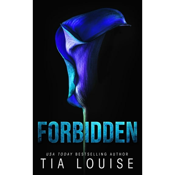 Hamiltown Heat Forbidden: A small-town, professor-student romance., Book 4, (Paperback)