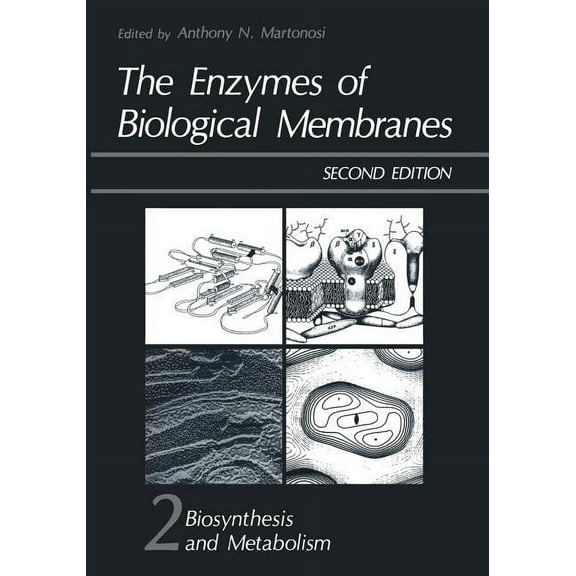 The Enzymes of Biological Membranes: Volume 2 Biosynthesis and Metabolism, (Paperback)