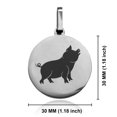 thumbnail image 2 of Stainless Steel Pig Good Luck Charm Round Medallion Pendant Necklace, 2 of 3
