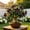 B, variant on Desert Rose For Growing-Perennial-Elegant Variegated Blooms-Yards-Ornament (Non-Artificial)