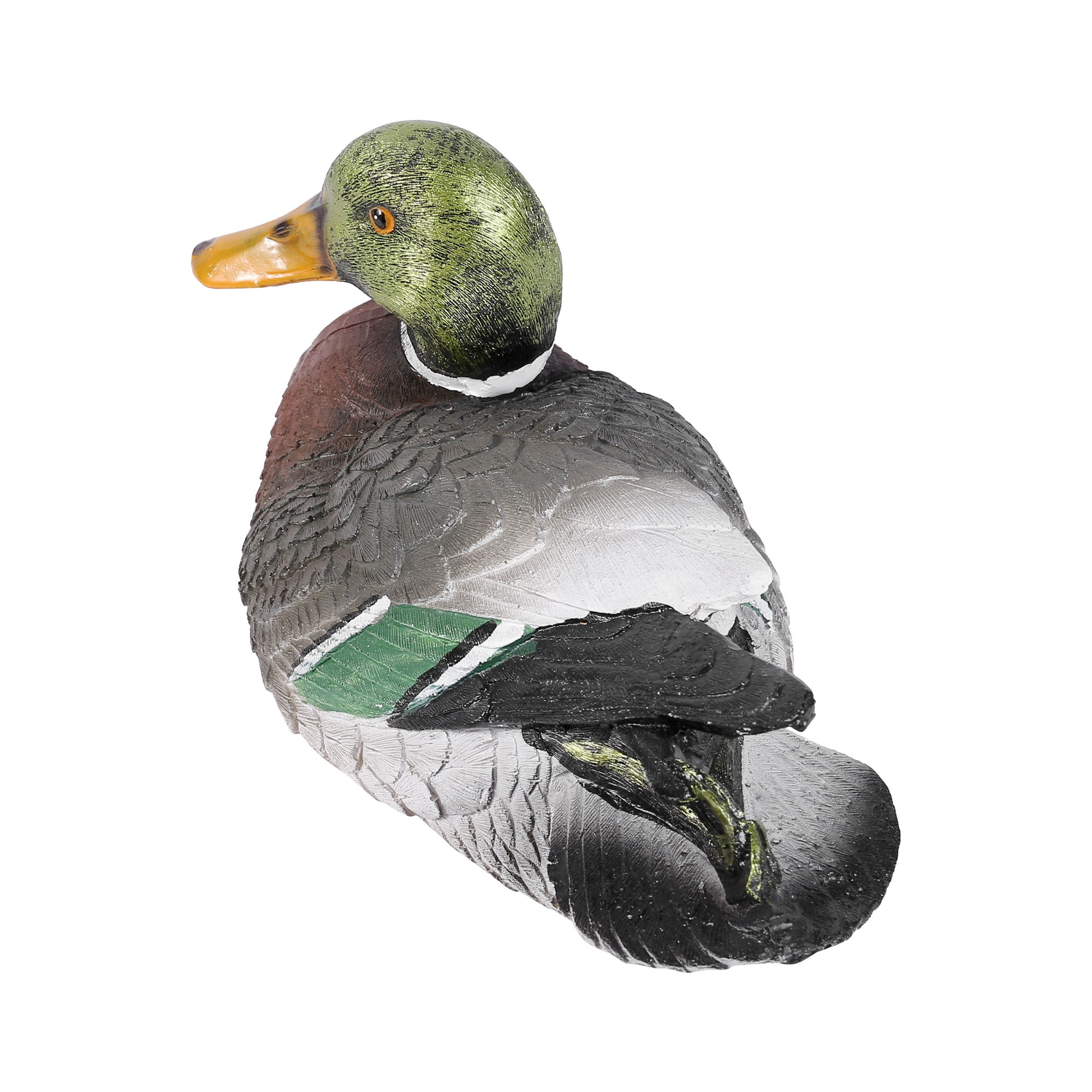 Mallard Duck Fridge Magnet - Bird Waterfowl Pond Lake Nature Cool Gift  #14214