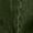 Army Green, variant on Womens Wide Leg Jeans, Front Pockets Loose Fit High Waist Retro Trendy Denim Trousers Gray L