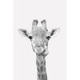 thumbnail image 3 of Allen, Kimberly 11x14 Black Modern Framed Museum Art Print Titled - Quirky Giraffes 2, 3 of 5