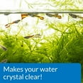 thumbnail image 5 of API Accu-Clear Clears Cloudy Aquarium Water, 5 of 5