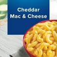 Birds Eye Veggie Pasta Mac and Cheese Elbows with Cheddar Cheese Sauce