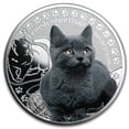 thumbnail image 1 of 2014 Niue Silver Man's Best Friends Cats British Shorthair, 1 of 3